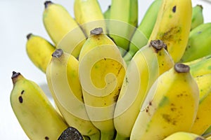 Close up of Pisang Awak banana