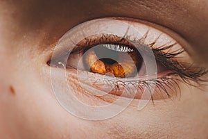 Close-up of planet earth in the eye of a child. View of a child on the environmental world.