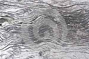 Close up plank wood table floor with natural pattern texture. Empty wooden board background