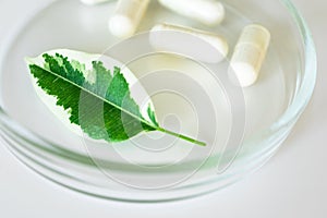 Close-up plant leaf with selective focus and dietary supplement in capsules in glass petri dish on background. Concept natural