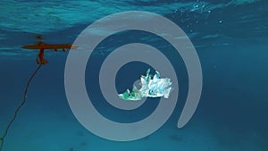 close-up of a plastic bag floating in the sea. Garbage in the sea water. Environmental Pollution of plastic rubbish
