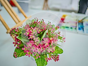 Close up Plastic flowers