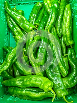 plastic green box at the market plenty of heap green peppers just harvested ready to be sold to customers