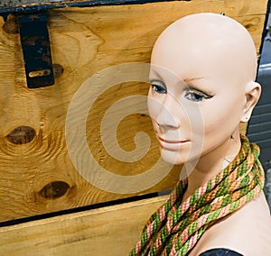 Close up of a Plastic Mannequin Head