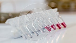 Plastic Microcentrifuge Tubes on table
