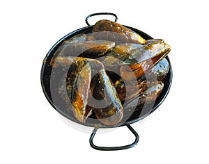 Close up of a plate with freshly coocked mussels shellfish on plate isolated on white
