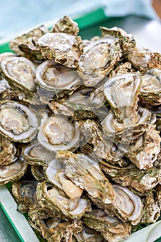 Close-up of a plate of plump fresh oysters