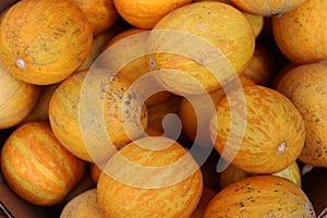 Close-up of plentiful yellow melons, seasonal agricultural bounty