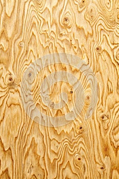 Closeup Pattern of Plywood Texture Use for Background photo