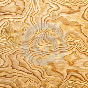 Closeup Pattern of Plywood Texture Use for Background photo