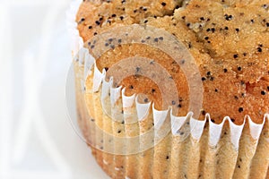 Close up of a Poppy Seed Muffin