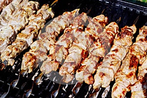 Close up of pork kebabs cooking on a barbecue