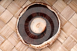Close up of a portabella mushroom cap photo