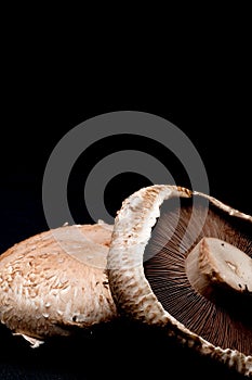 Close up of portabella mushroom caps on black