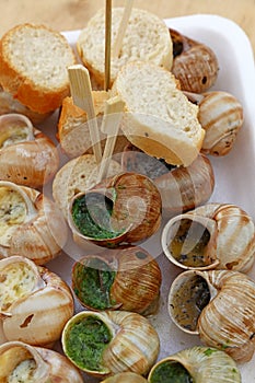 Close up portion of cooked escargot snails