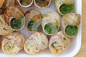 Close up portion of cooked escargot snails