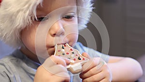 close-up portrait 3 year baby child boy Santa red hat eating Christmas cookie