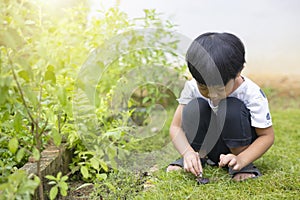 Close-up portrait Asian child boy straight black hair wearing a white white shirt and black pants, playing with snails in the