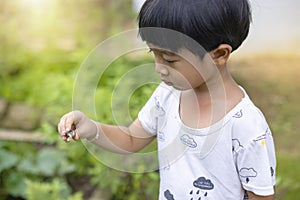 Close-up portrait Asian child boy straight black hair wearing a white white shirt and black pants, playing with snails in the