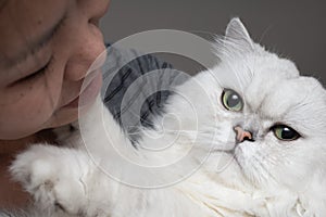 Close up portrait of Asian girl hugging cute white Persian Chinchilla cat