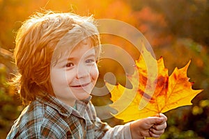 Close up portrait of autumn kids boy. Autumn is funny - lovely child boy has a fun in autumn leaves fall, happy kids.