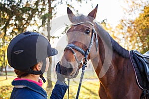 Close up portrait of bay horse with rider girl