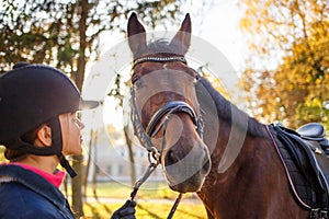 Close up portrait of bay horse with rider girl