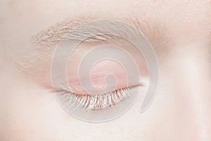 Close up portrait of beautiful albino woman isolated on studio background. Beauty, fashion, skincare, cosmetics concept