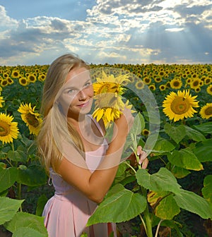 Close up portrait of a beautiful young girl in pink dress in a field of sunflowers