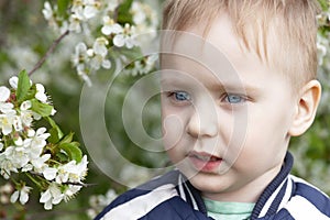 Close-up portrait of cute blond baby boy smiling in the middle of cherry blossom garden.