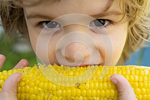 Close-up portrait of cute little child eating yellow sweet corncob corn. Farming and autumn crops concept.