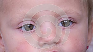 Close up portrait of a cute little girl with big eyes.