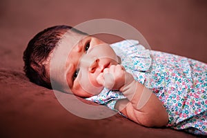 Close up portrait of a cute two weeks old newborn baby girl lying down