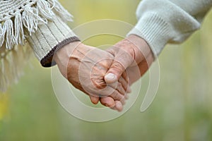 Close up portrait of elderly couple holding hands in autumn park