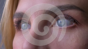 Close-up portrait of female blue eyes watching into the distance.