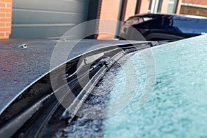 A close up portrait of the frozen stuck windshield wipers of the front window of a car. The ice first needs to be removed or melt