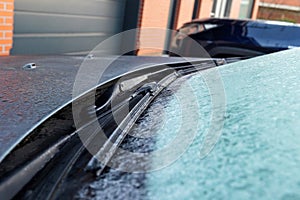 A close up portrait of the frozen stuck windshield wipers of the front window of a car. The ice first needs to be removed or melt