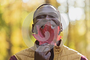 Close up portrait of funny african american man covering his face with autumn maple leaf. Autumn nature. Seasonal fall