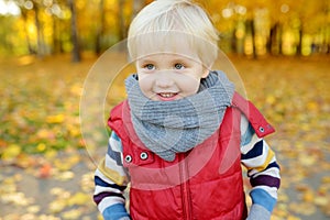 Close up portrait of glad little boy during stroll in the forest at sunny autumn day