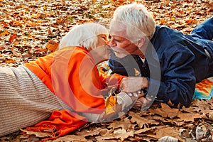 Close up portrait of a happy old man kissing his wife`s hands. In the park in autumn foliage a happy couple is resting