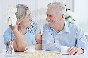 Close-up portrait of happy senior couple at home