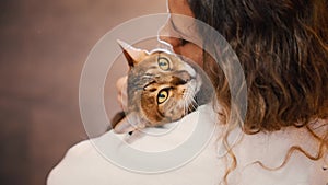 Close-up portrait happy woman holding embracing domestic thoroughbred Bengal cat sitting on hands, girl smiling face