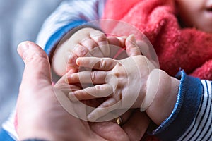 A close up portrait of little baby hands holding the hand of its father. The fingers of one hand grasp the finger of the parent