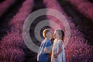 Close-up portrait of little girl kissing boy on cheek in purple lavender field. Loving cute couple