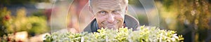 Close Up Portrait Of Mature Man Working Outdoors In Garden Centre Carrying Tray Of Seedling Plants