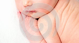 Close-up portrait of newborn baby`s face