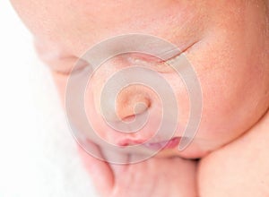 Close-up portrait of newborn baby`s face