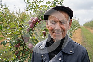 Close up portrait of the old man gardener in black leather coat and hat stands among his apple garden, get ready to