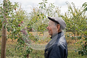Close up portrait of the old man gardener in black leather coat and hat stands among his apple garden, get ready to