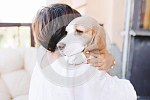 Close-up portrait of sad beagle dog looking away over shoulder of brunette girl. Woman in white attire with short brown